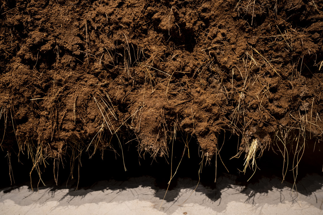 Close of a dirt sculpture with brown grass stick out of the work.